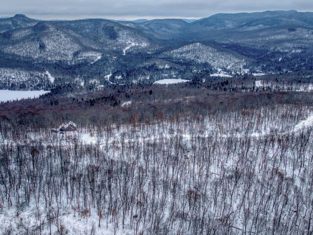 Overall View