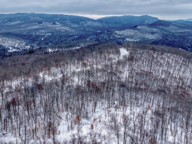 Overall View