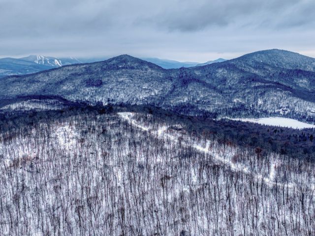 Overall View