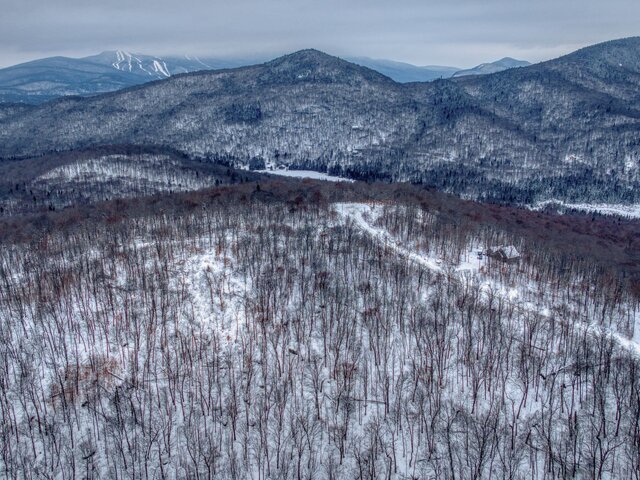 Overall View